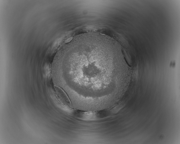 X0000111020335200906191658