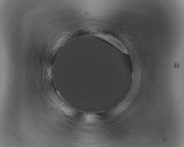X0000111020336200906191658