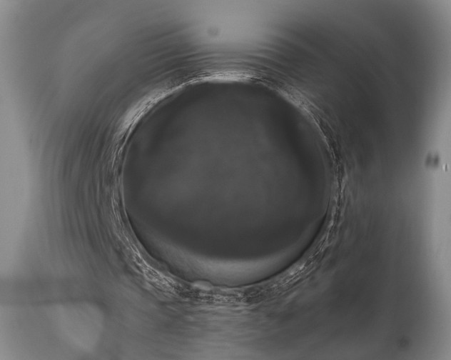 X0000111020337200906191657
