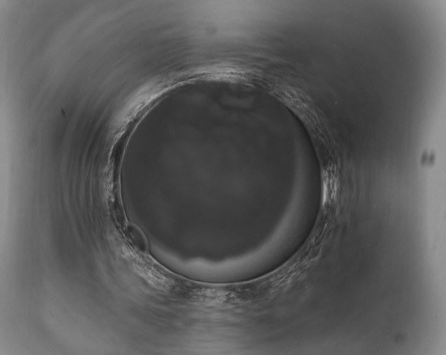 X0000111020339200906191657
