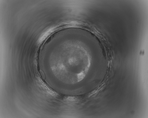 X0000111020341200906191657