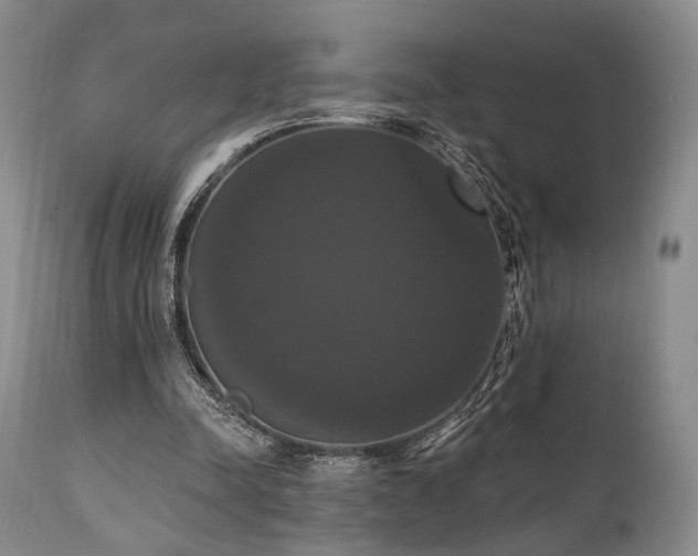 X0000111020342200906191657