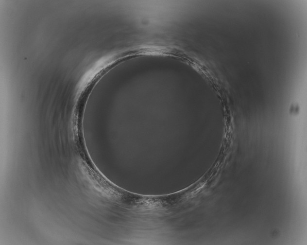 X0000111020343200906191657