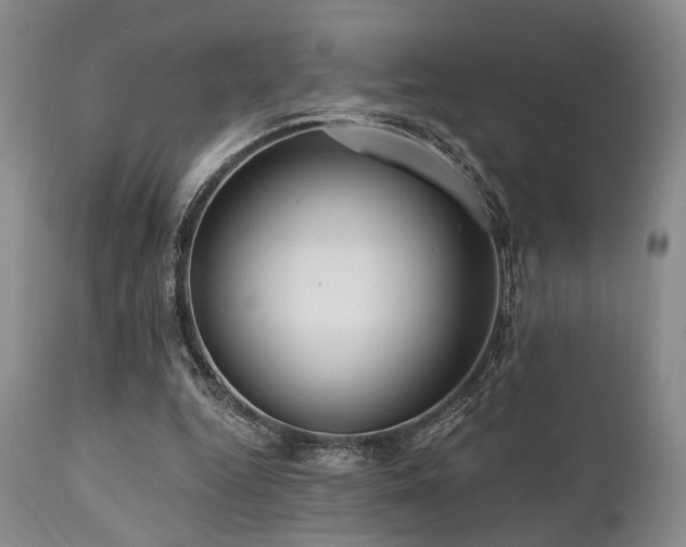 X0000111020344200906191657