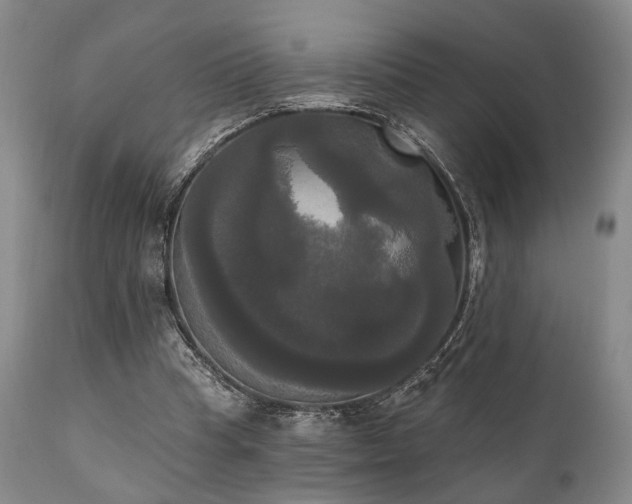 X0000111020345200906191657