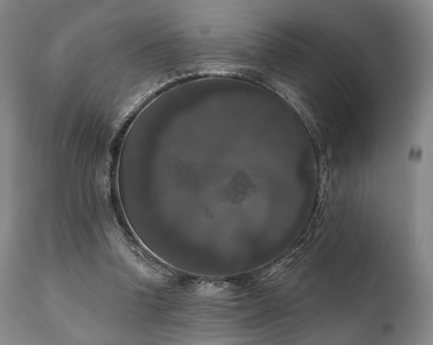 X0000111020346200906191658