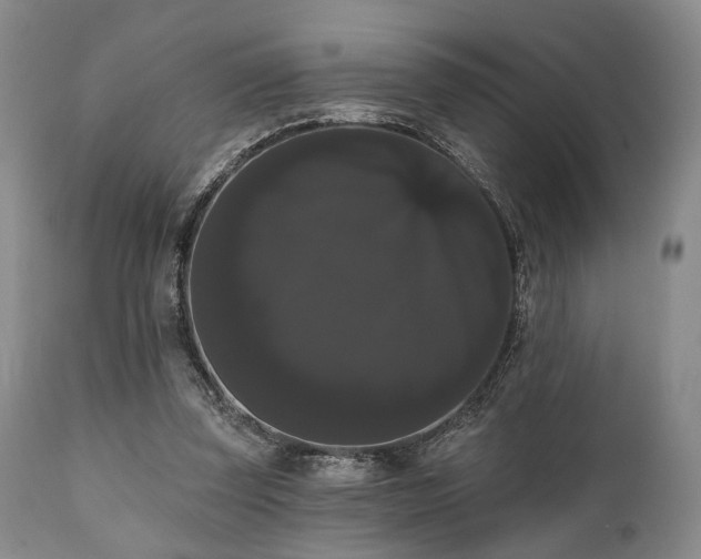 X0000111020347200906191658