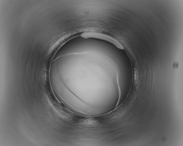 X0000111020348200906191658