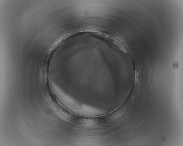X0000111020349200906191658