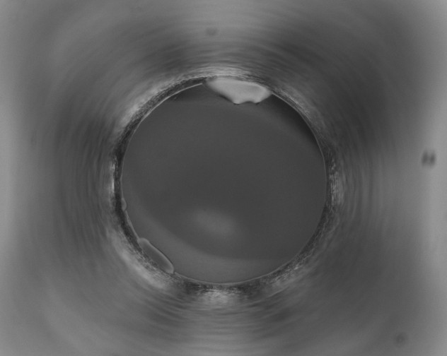X0000111020350200906191658