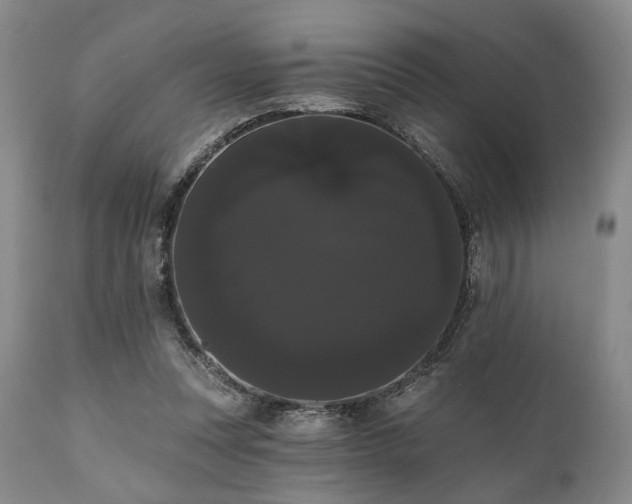 X0000111020351200906191658