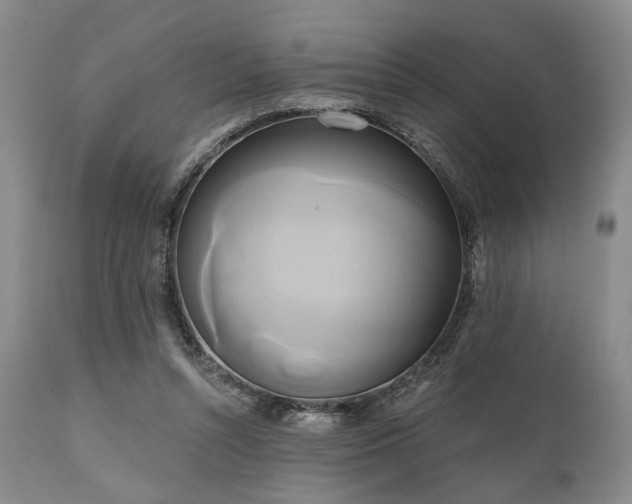 X0000111020352200906191658