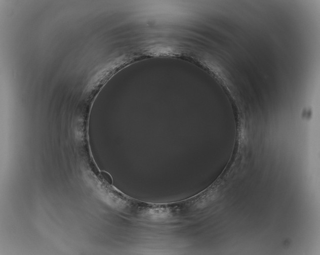 X0000111020353200906191658
