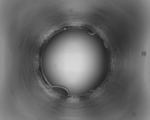 X0000111020354200906191658