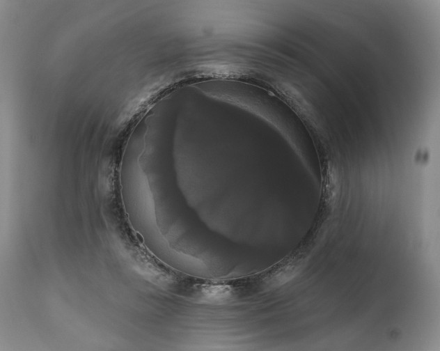 X0000111020355200906191658