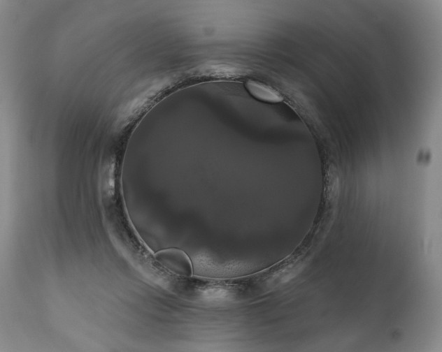 X0000111020358200906191658