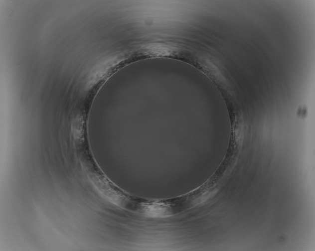 X0000111020359200906191658