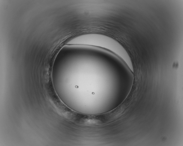 X0000111020360200906191658