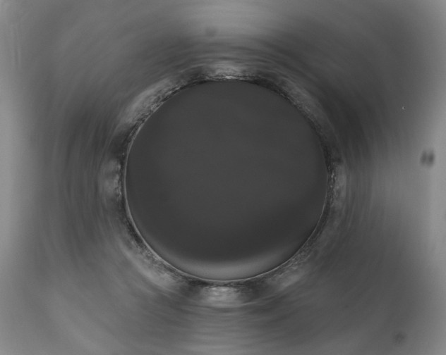 X0000111020361200906191658