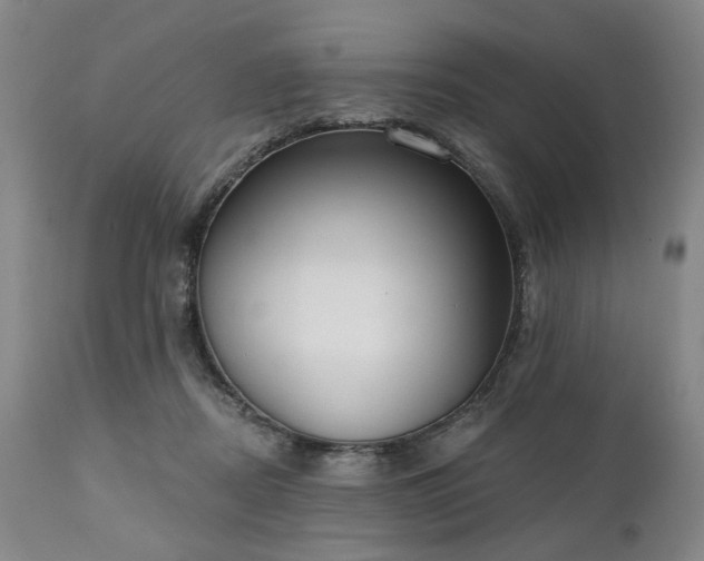 X0000111020362200906191658
