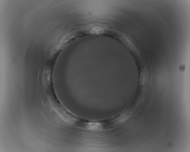 X0000111020363200906191658