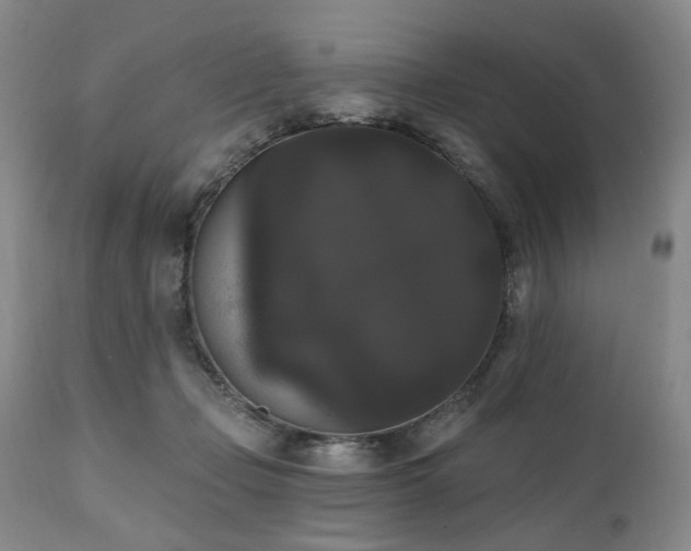 X0000111020365200906191658