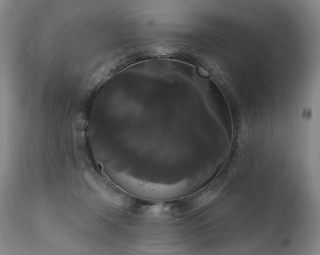 X0000111020366200906191658