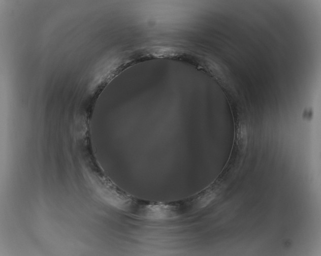 X0000111020367200906191658