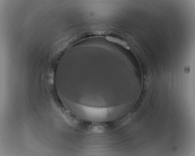 X0000111020368200906191658