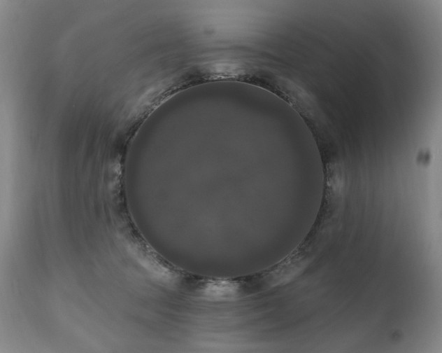 X0000111020369200906191658