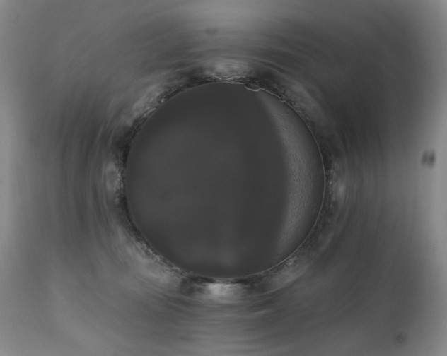 X0000111020371200906191658