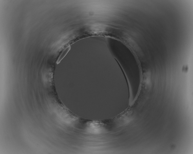 X0000111020372200906191658