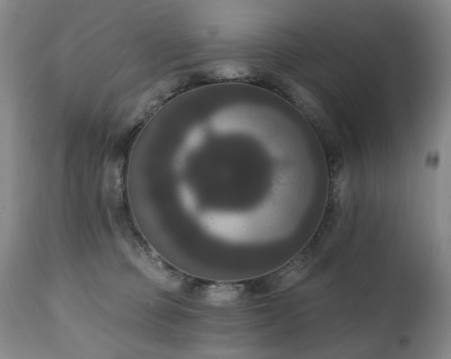 X0000111020373200906191658