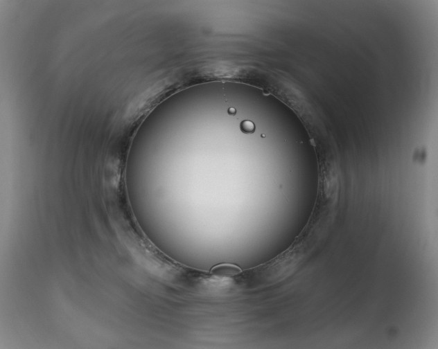 X0000111020374200906191658