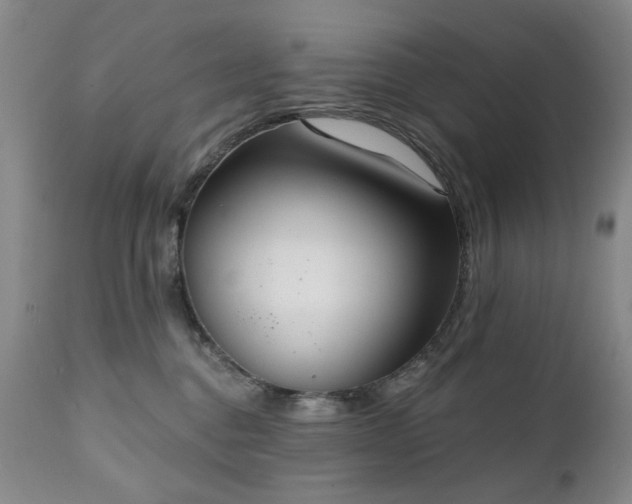 X0000111020376200906191658