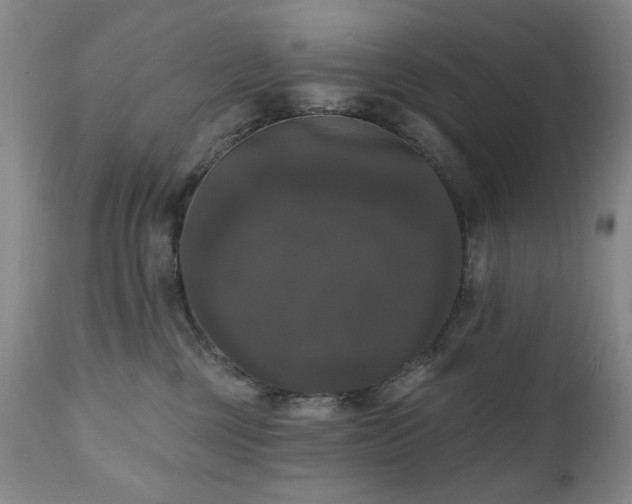 X0000111020377200906191658