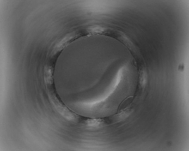 X0000111020378200906191658
