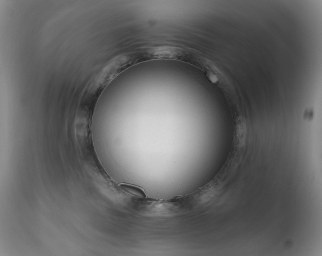 X0000111020379200906191658