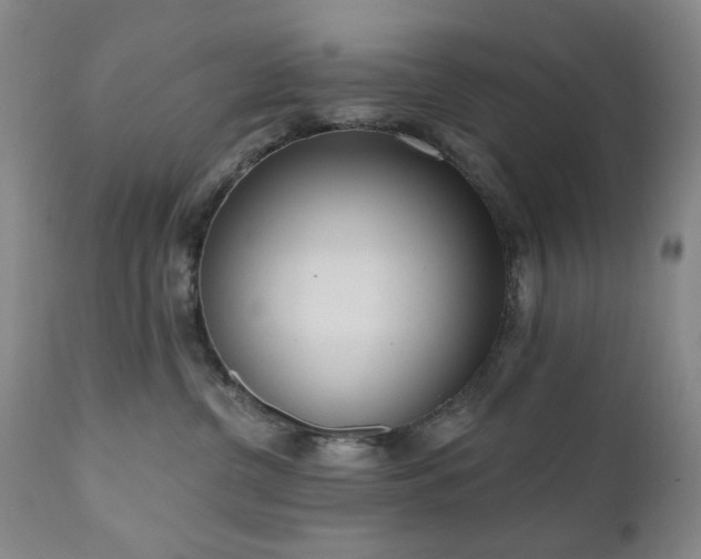 X0000111020380200906191658