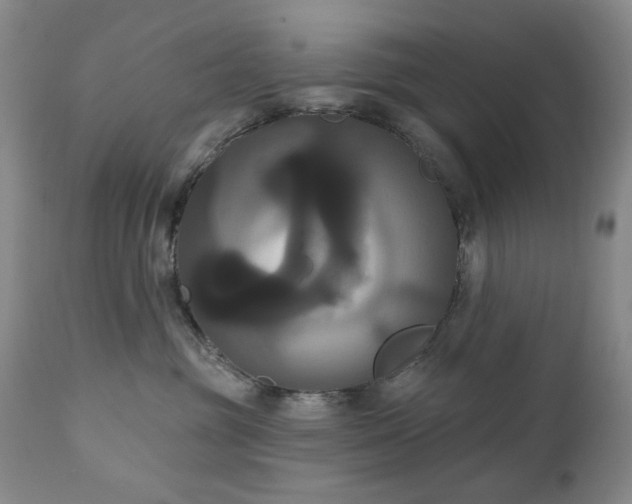 X0000111020381200906191658