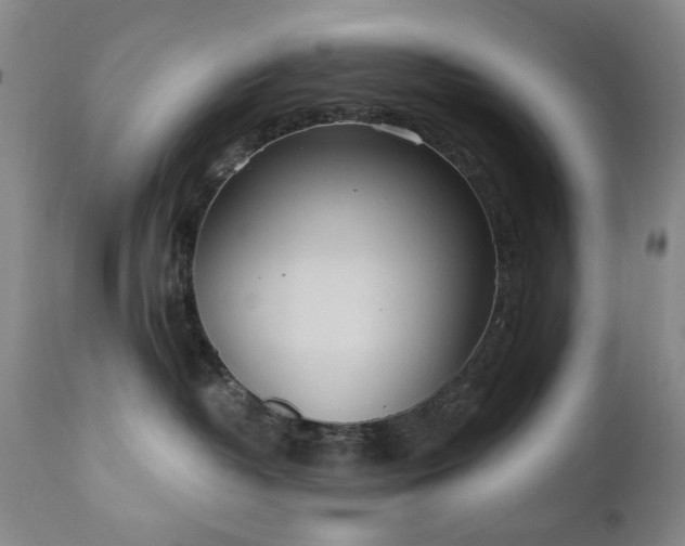 X0000111020382200906191658