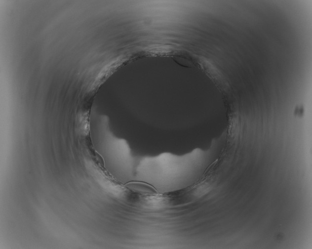X0000111020383200906191658