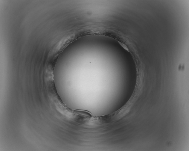 X0000111020384200906191658