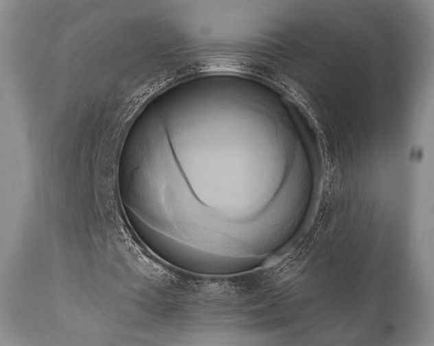 X0000111020385200906191657