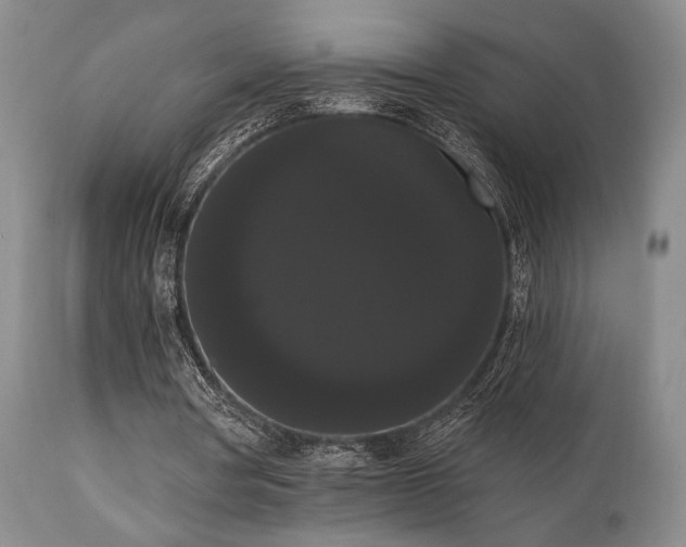 X0000111020386200906191657
