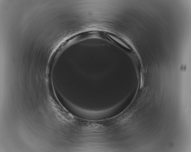 X0000111020387200906191657