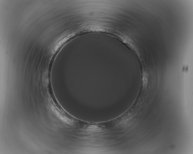 X0000111020390200906191657