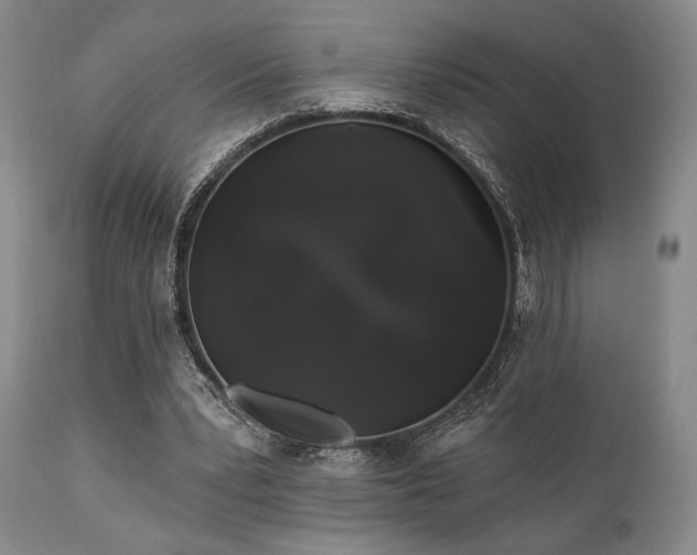 X0000111020391200906191657