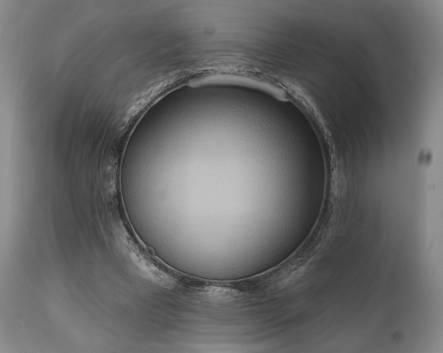 X0000111020393200906191657