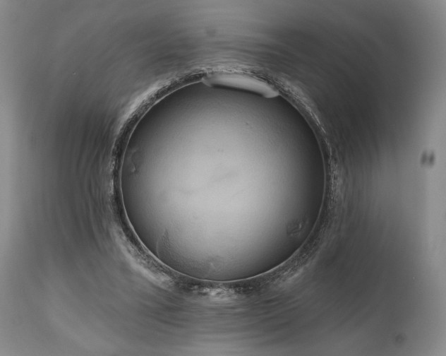 X0000111020395200906191657